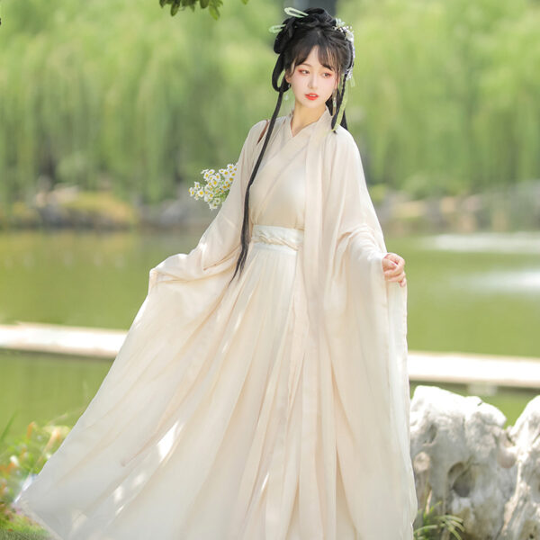 ming dynasty black horse faced skirt hanfu (copy)