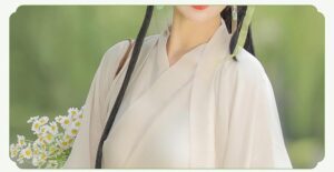 wei and jin style cross collar waist skirt hanfu